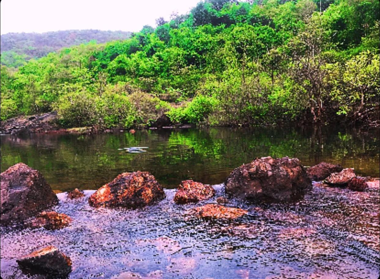 Rohan Homestay By Traviget Hospitality, Dapoli-Konkan Harnai Zewnętrze zdjęcie